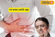 গ্যাসের ব্যথা বাইবাই, দাঁতের যন্ত্রণাও নিমেষে গায়েব,এই মরসুমি ফলে দূর হবে ক্যানসারের ভয়