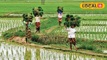 দ্বিমুখী