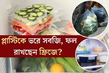 প্লাস্টিকে ভরে ফল, সবজি রাখছেন ফ্রিজে? রক্তে মিশে যাচ্ছে ‘নিঃশব্দ ঘাতক’! খুব সাবধান