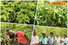 সবুজ স্বপ্ন গড়ে দেবে স্বাবলম্বী হওয়ার পথ, কাশীপুরে ফলচাষে নবযাত্রা