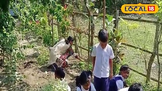 স্কুলে স্কুলে আদা চাষের উদ্যোগ 