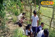 ফলনের আকাল! এই বিশেষ সবজির চাষ শেখানো হবে স্কুলের পড়ুয়াদের