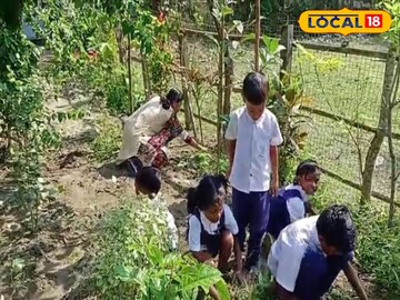 স্কুলে স্কুলে আদা চাষের উদ্যোগ 