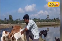প্রতিবেশীর ছাগলকে পিটিয়ে হত্যা! কোন 'অপরাধে' এমন নৃশংস শাস্তি জানেন?