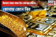মিলতে পারে লাখ লাখ টন সোনার হদিশ ! কোথায় জেনে নিন