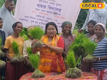 ধানের