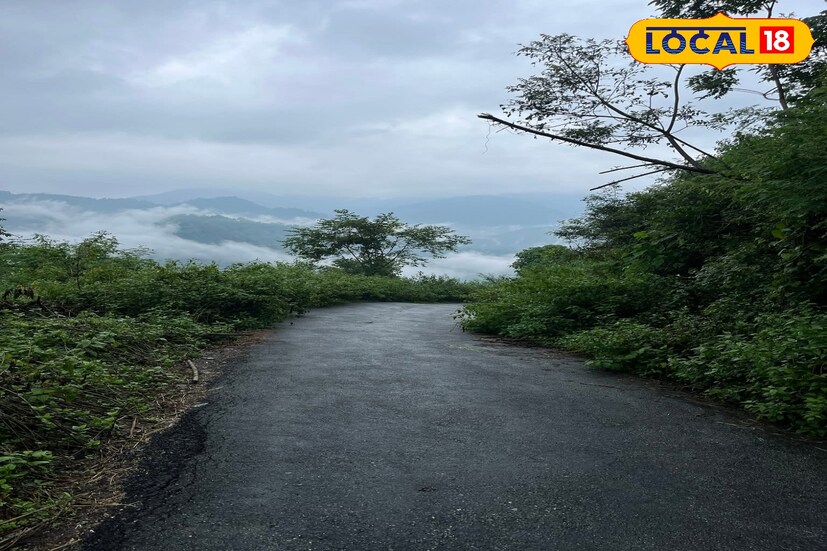 আগামী মঙ্গলবার থেকে শুক্রবার পর্যন্ত দার্জিলিং, জলপাইগুড়ি, আলিপুরদুয়ার এবং কালিম্পংয়ে ভারী বৃষ্টির পূর্বাভাস রয়েছে।দুর্যোগের পূর্বাভাস রয়েছে পার্বত্য এলাকাগুলিতে। 