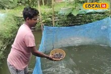 দেশি মাগুর চাষ করে বিপুল লাভ ! দেখে নিন কীভাবে ?