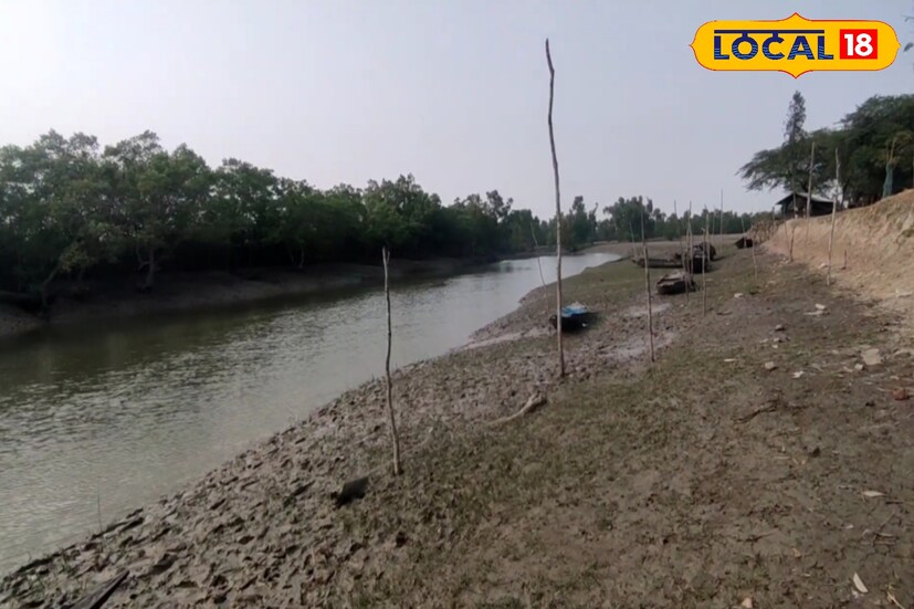 কালিতলায় পর্যটকদের থাকার জন্য রয়েছে সাধারণ মানের হোটেল। এখান থেকেই বোট বা লঞ্চে সুন্দরবনের খাড়ি ধরে জঙ্গলের আরও ভিতরে ঘুরে আসার সুযোগ মেলে। বিশেষ করে শীতের সময় এই অঞ্চল হয়ে ওঠে প্রকৃতিপ্রেমীদের আকর্ষণের কেন্দ্র। ছবি ও তথ্য : জুলফিকার মোল্যা
