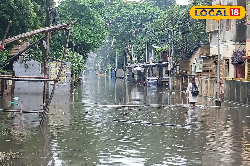বর্ষায় জল যন্ত্রণা থেকে এই নিয়মেই মিলবে মুক্তি! চমৎকার উপায় দিলেন হাওড়ার একদল শিক্ষক, জানুন