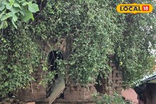 পর্যটনের খনি, অল্প খরচেই চোখের সামনে উঠে আসবে ইতিহাস!দুই শতাব্দী প্রাচীন শিলদার রাসমঞ্চ