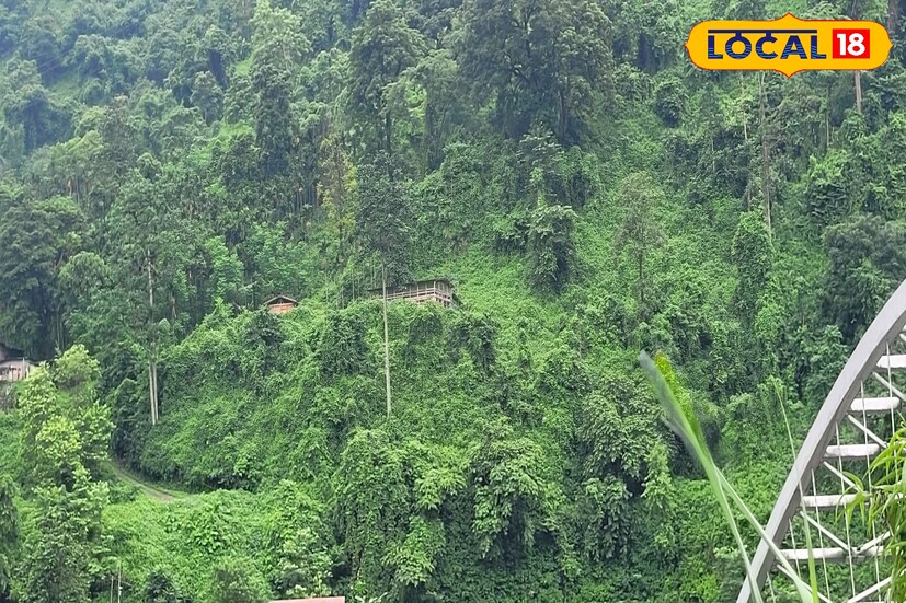 উত্তর থেকে ঘূর্ণাবর্ত সরে গেলেও এখনই কাটছে না দুর্যোগ। অতি ভারী বৃষ্টির পূর্বাভাস রয়েছে উত্তরবঙ্গে। দার্জিলিং, কালিম্পং, জলপাইগুড়ি, আলিপুরদুয়ার এবং কোচবিহারে অতি ভারী বৃষ্টির সতর্কতা জারি করা হয়েছে। ছবি ও তথ&#x200d;্য: অনন&#x200d;্যা দে