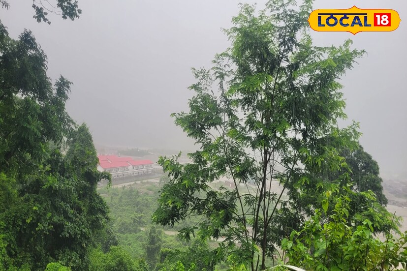 শুক্রবার পর্যন্ত দার্জিলিং, জলপাইগুড়ি, আলিপুরদুয়ার এবং কালিম্পংয়ে ভারী বৃষ্টির পূর্বাভাস রয়েছে।দুর্যোগের পূর্বাভাস রয়েছে পার্বত্য এলাকাগুলিতে। ছবি ও তথ&#x200d;্য: অনন&#x200d;্যা দে
