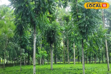 ঘূর্ণাবর্ত সরে গেলেও বহাল দুর্যোগ! উত্তরের কোন কোন জেলা ভাসবে? আবহাওয়ার তোলপাড় করা আপডেট