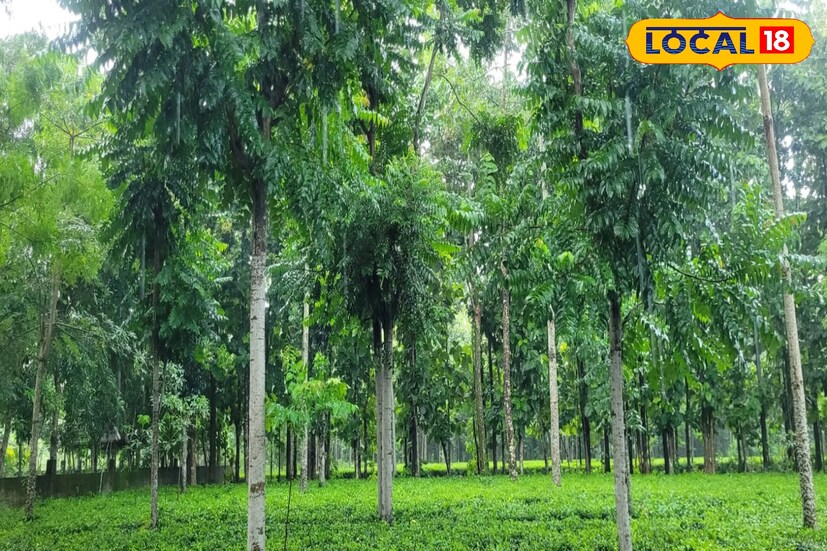 আলিপুরদুয়ার,অনন‍্যা দে:উত্তরবঙ্গে ভারী বৃষ্টির সতর্কতা জারি করল আবহাওয়া দফতর। দক্ষিণবঙ্গের সব জেলাতেই বজ্রবিদ্যুৎ সহ দু’এক পশলা হালকা থেকে মাঝারি বৃষ্টি হতে পারে। তবে উত্তরবঙ্গে বন‍্যা পরিস্থিতি দেখা দিতে পারে,পূর্বাভাস আবহাওয়া দফতরের। আলিপুরদুয়ার,অনন‍্যা দে:উত্তরবঙ্গে ভারী বৃষ্টির সতর্কতা জারি করল আবহাওয়া দফতর। দক্ষিণবঙ্গের সব জেলাতেই বজ্রবিদ্যুৎ সহ দু’এক পশলা হালকা থেকে মাঝারি বৃষ্টি হতে পারে। তবে উত্তরবঙ্গে বন‍্যা পরিস্থিতি দেখা দিতে পারে,পূর্বাভাস আবহাওয়া দফতরের।
