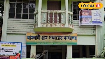 আমলানি