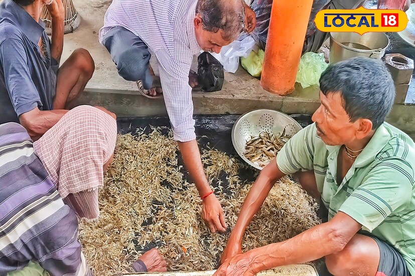 দুর্গাপুর ব্যারেজের বিখ্যাত কুচো চিংড়ির বাজার তুঙ্গে শিলিগুড়ি সহ একাধিক জেলায়। তাই দামোদর নদের দুর্গাপুর ব্যারেজের সুস্বাদু কুচো চিংড়ি আজও দেদার রপ্তানি হচ্ছে ভিন জেলায়।