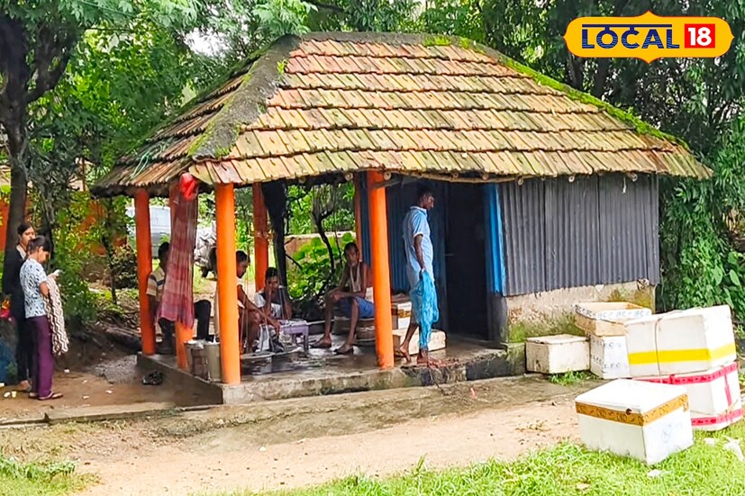 এত বিপুল সংখ্যক মাছ দুর্গাপুরের বাজারে এলে স্বাভাবিকভাবেই মূল্য কমে যেত বলে দাবি মৎস্যজীবীদের।প্রতিদিন প্রায় ৬- ৭ কুইন্ট্যাল কুচো চিংড়ি ধরা হয়। ওই চিংড়ি মাছ এলাকার ৫ টি আড়তে বিক্রি করেন তাঁরা।