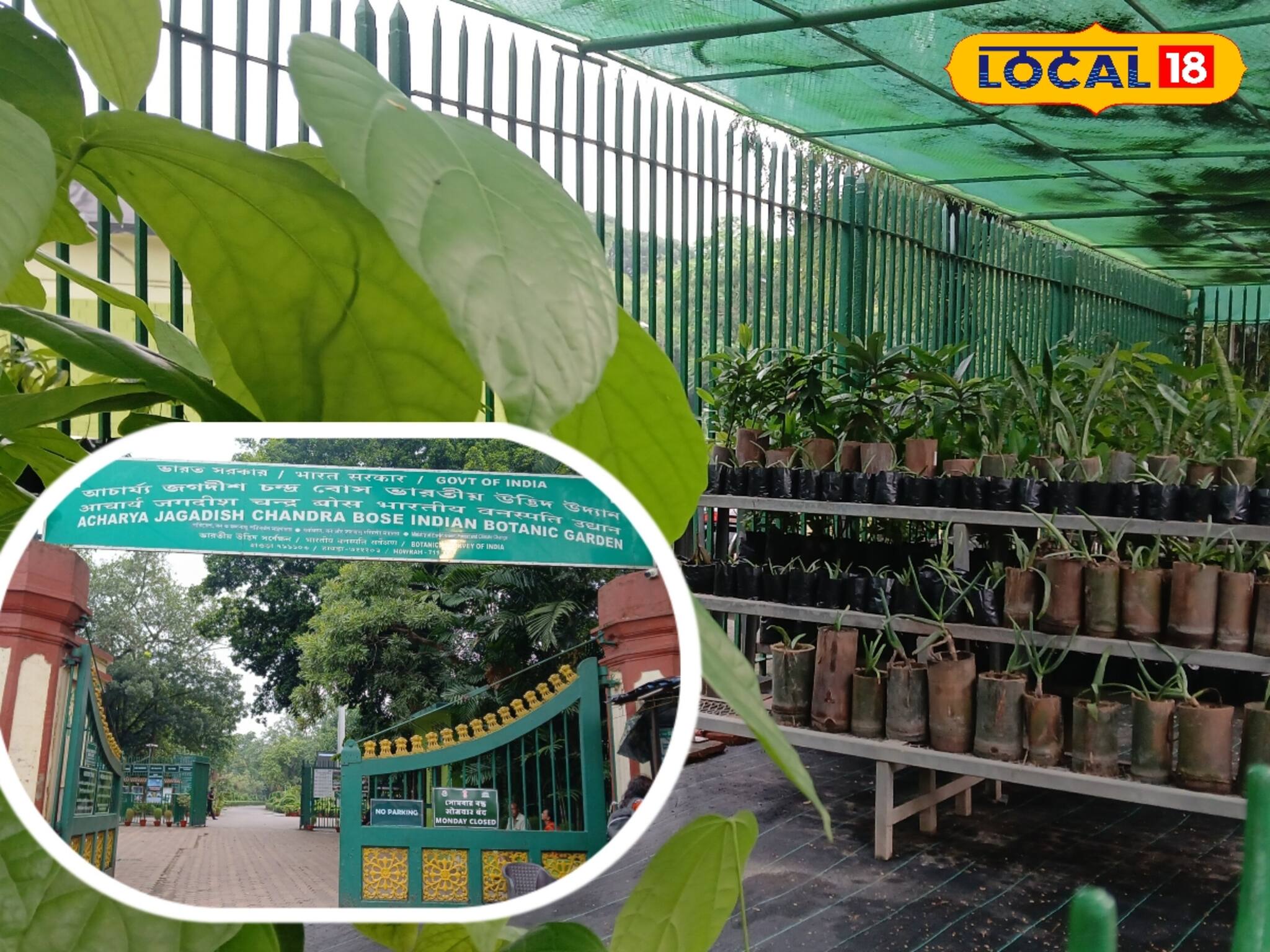 বোটানিক্যাল গার্ডেন গাছ বিক্রয় কেন্দ্র! দু'মাসেই  ১০ হাজারের বেশি গাছ বিক্রি
