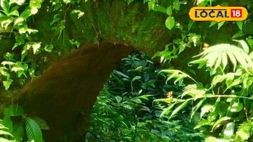 নলরাজার