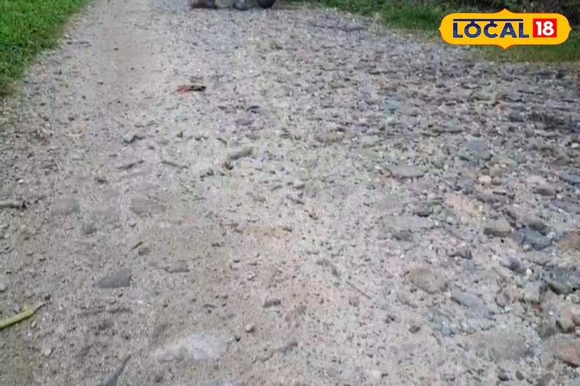 প্রতিবাদী বাসিন্দাদের দাবি, নির্বাচন এলে প্রতিশ্রুতির বন্যা বয়ে যায়। কিন্তু কাজের কাজ কিছুই হয় না। তাই এবার আর প্রতিশ্রুতি নয়, তাঁরা হাতে গরম ফলাফল চাইছেন।