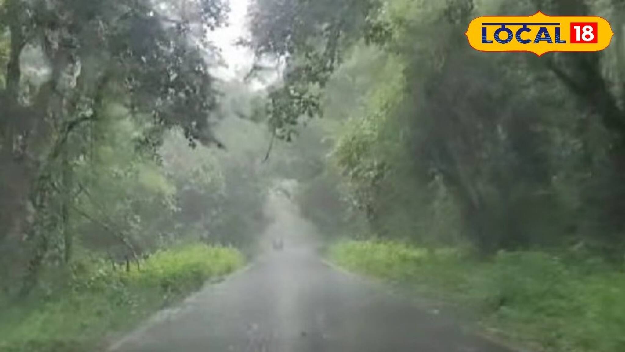 এখনই থামবে না বৃষ্টি, কমলা সতর্কতা ৪ জেলায়! ফের উত্তরবঙ্গ ও সিকিমে বিপর্যয়ের আশঙ্কা