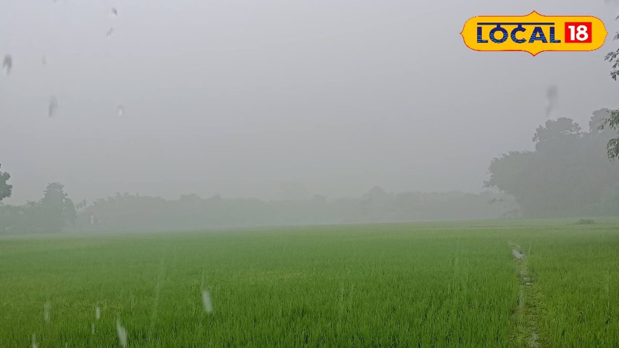 নাগাড়ে চলবে ভারী থেকে অতি ভারী বৃষ্টি, ৪ জেলায় কমলা সতর্কতা! আবহাওয়ার বড় খবর