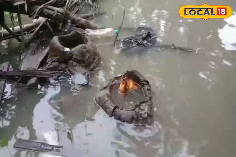 মানুষ তো আছেই… এখানে গবাদি পশুদের দুর্ভোগও মন খারাপ করাবে! ভিলেন কে বলুন তো?