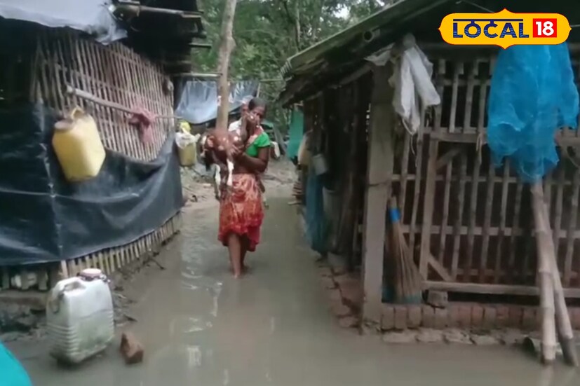 গবাদি পশুর অবস্থাও উদ্বেগজনক। ছাগল, গরু, হাঁস-মুরগিকে কোলেপিঠে করে নিরাপদ জায়গায় নিয়ে যাওয়ার চেষ্টা করছেন গ্রামবাসীরা। অনেকেই আশ্রয় নিয়েছেন উঁচু জায়গার স্কুল কিংবা পাকা ভবনের ছাদে। প্রতিনিয়ত বৃষ্টি পরিস্থিতি আরও জটিল করে তুলছে।