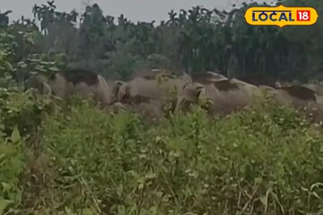 এমার্জেন্সি ব্রেক চেপে কোনরকমে রেহাই! বড় ঘটনার হাত থেকে বাঁচালেন দুই ট্রেন চালক এমার্জেন্সি ব্রেক চেপে কোনরকমে রেহাই! বড় ঘটনার হাত থেকে বাঁচালেন দুই ট্রেন চালক