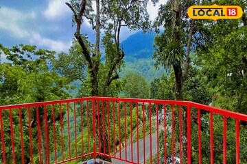 ডুয়ার্সে ঘুরতে যাওয়ার প্ল্যান? কাঁপানো ভারী বৃষ্টি নাকি ঝলমলে রোদ, কেমন থাকবে আবহাওয়া? ডুয়ার্সে ঘুরতে যাওয়ার প্ল্যান? কাঁপানো ভারী বৃষ্টি নাকি ঝলমলে রোদ, কেমন থাকবে আবহাওয়া?