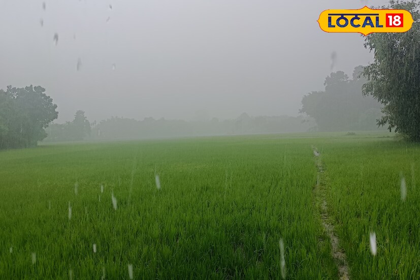 অনুকূল থাকবে না সিকিমের আবহাওয়া।বৃষ্টির কারণে ধস দেখা যাবে সিকিমের বিভিন্ন এলাকায়।সিকিমের সর্বোচ্চ তাপমাত্রা থাকবে ২১ ডিগ্রি সেলসিয়াস এবং সর্বনিম্ন তাপমাত্রা থাকবে ১৮ ডিগ্রি সেলসিয়াস।