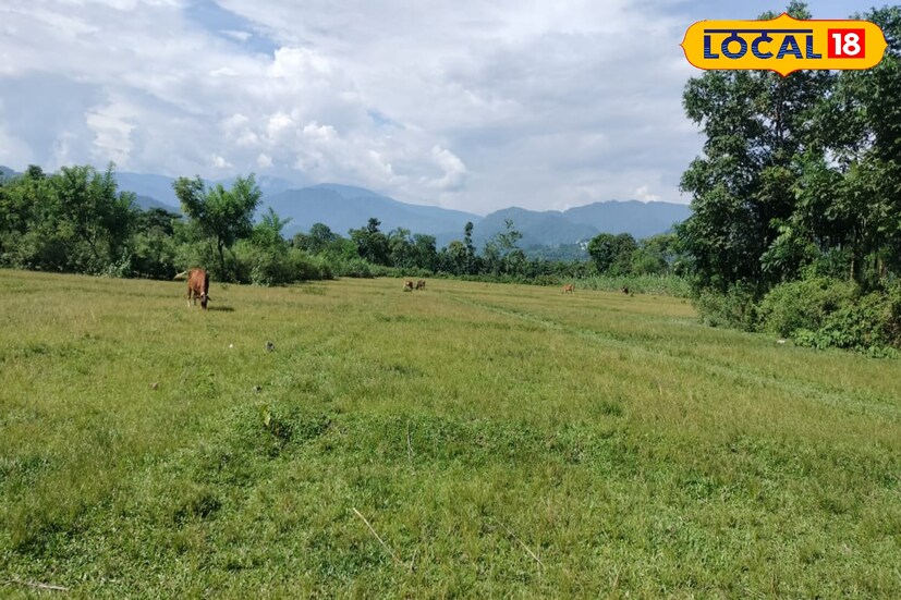 সব জেলাতেই বজ্রবিদ্যুৎ সহ ঝড়বৃষ্টির পূর্বাভাস রয়েছে। সেই সঙ্গে ঘণ্টায় ৩০ থেকে ৪০ কিলোমিটার বেগে ঝোড়ো হাওয়া বইতে পারে। ছবি ও তথ&#x200d;্য: অনন&#x200d;্যা দে