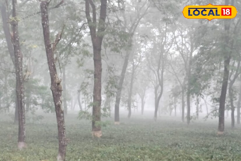 দার্জিলিং, জলপাইগুড়ি, কালিম্পং ও আলিপুরদুয়ার জেলায় রয়েছে ভারী থেকে অতি ভারী বৃষ্টির (৭ থেকে ২০ সেন্টিমিটার) সম্ভাবনা। ওই চার জেলায় রয়েছে কমলা সতর্কতা। ভারী বৃষ্টি হতে পারে কোচবিহারে। ছবি ও তথ&#x200d;্য: অনন&#x200d;্যা দে