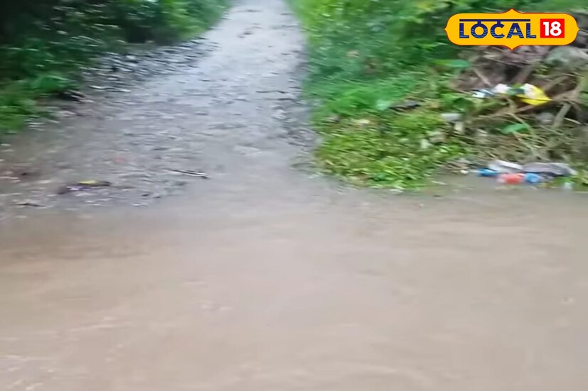 আলিপুরদুয়ার,অনন&#x200d;্যা দে: রাজ্যে চলবে বৃষ্টি। যার জেরে নাজেহাল হবে রাজ্যবাসী। হাওয়া অফিস জানিয়েছে, ঘূর্ণাবর্ত ও মৌসুমি অক্ষরেখার জেরে বৃষ্টির অনুকূল পরিস্থিতি রয়েছে রাজ্যে। 