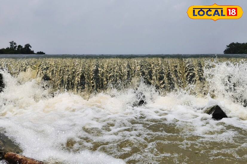 *বর্ষায় অপরূপ সাজে সেজে উঠেছে পুরুলিয়ার এই জলাধার! চারিদিকে অনন্য সুন্দর অনুভূতি। জল-জঙ্গলের যুগলবন্দীর অফবিট এই লোকেশন শুধুমাত্র বর্ষার সময়ই আকর্ষণীয় হয়ে উঠে পর্যটকদের কাছে। এখানকার প্রাকৃতিক পরিবেশের মনমাতানো সাজের টানে প্রতিবছরই ভিড় জমান পর্যটকরা। পুরুলিয়ার কাশীপুরের অফবিট এই লোকেশন হল কাপিষ্ঠা জলাধার।
