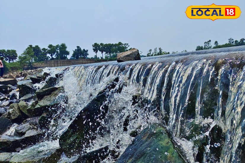 *এটি একটি শান্ত জায়গা যেখানে সবুজ জঙ্গল একটি শান্ত জলাধারকে ঘিরে রেখেছে। সৌন্দর্য ও শান্ততা মনোমুগ্ধকর। কাপিষ্ঠা জলাধার একটি জনপ্রিয় একদিনের ছুটি কাটানোর গন্তব্য, বিশেষ করে যারা প্রকৃতির মাঝে শান্তি খুঁজছেন তাদের জন্য।