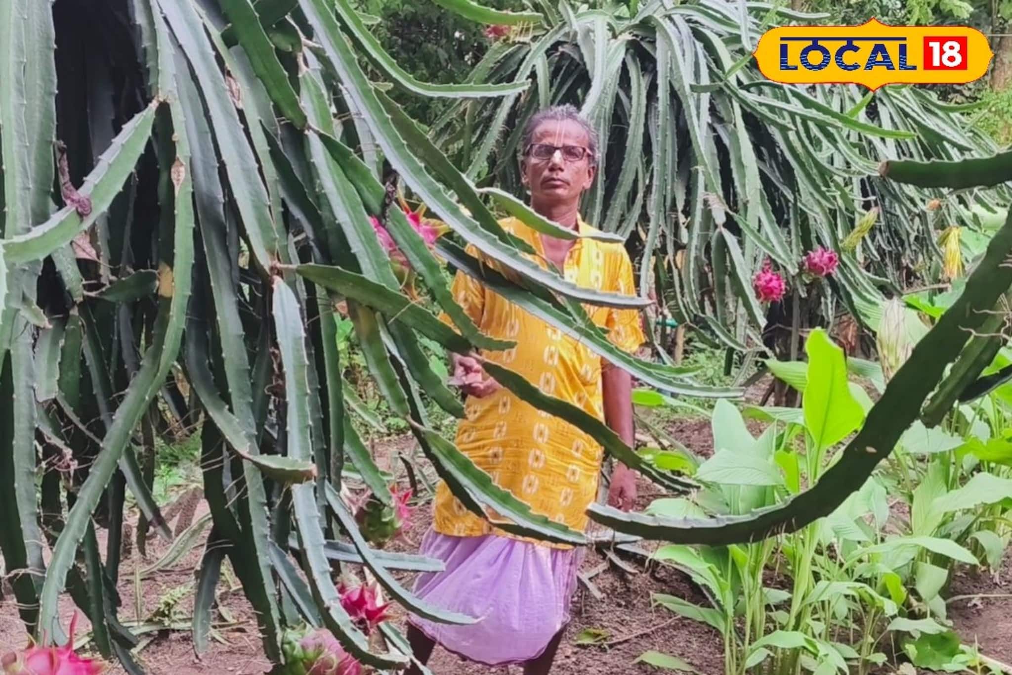 জৈব সারের চাষ, এক মরশুমে লক্ষাধিক টাকা আয়, মালামাল কৃষক