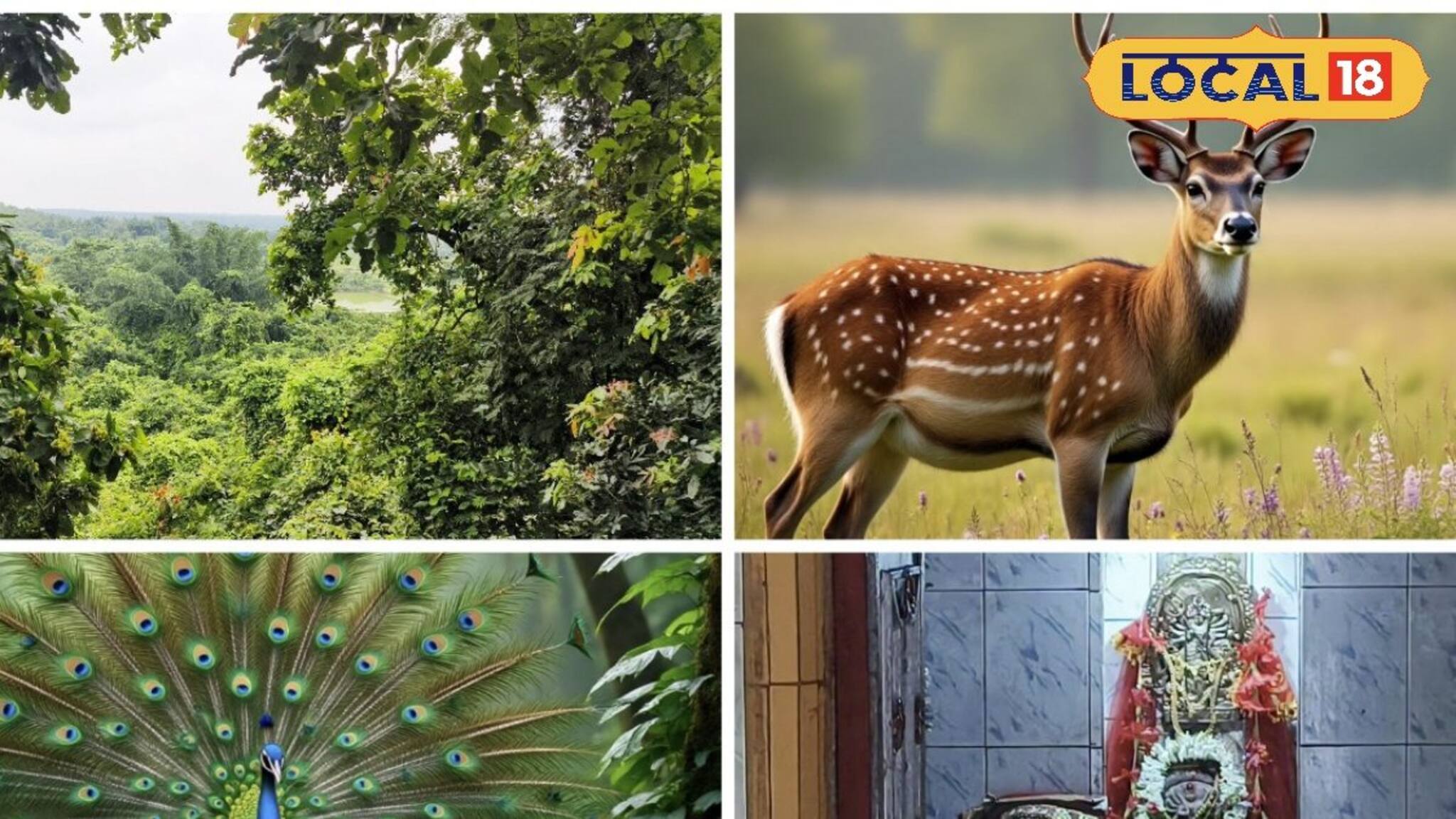 ঘন জঙ্গলের ভিতরে প্রাচীন মন্দিরে ঘুরে বেড়ায় হরিণ-ময়ূর, উইকএন্ডে  আসুন ঘরের পাশেই আরশিনগরে