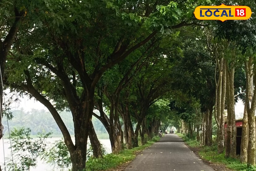 শহরের ব্যস্ততা আর কোলাহল থেকে একটু দূরে শান্তি খুঁজতে চাইলে মিনাখাঁর বামনপুকুরের ঝিকরা হতে পারে একদম উপযুক্ত গন্তব্য। প্রকৃতির কোলে ঘেরা এই গ্রাম যেন এক নিভৃত সবুজ দ্বীপ, যেখানে পৌঁছেই মন ভরে যায় প্রশান্তিতে। এখানে নেই কোনো হট্টগোল, আছে শুধু সবুজের রাজত্ব আর গ্রাম্য জীবনের সহজ সরল ছোঁয়া।