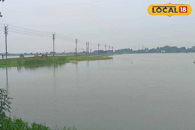 এখানে প্রবেশের সঙ্গে সঙ্গে চোখে পড়বে রাস্তার দুপাশে ঘন সবুজ গাছপালা। একদিকে বিশাল বিস্তৃত জলাশয়, যেখানে জেলেরা নৌকা বেয়ে মাছ ধরছে, অন্যদিকে মাঠভর্তি চাষ—ধান, শাকসবজি বা মৌসুমি ফসলের মনোমুগ্ধকর দৃশ্য যেন ছবির মতো সাজানো।