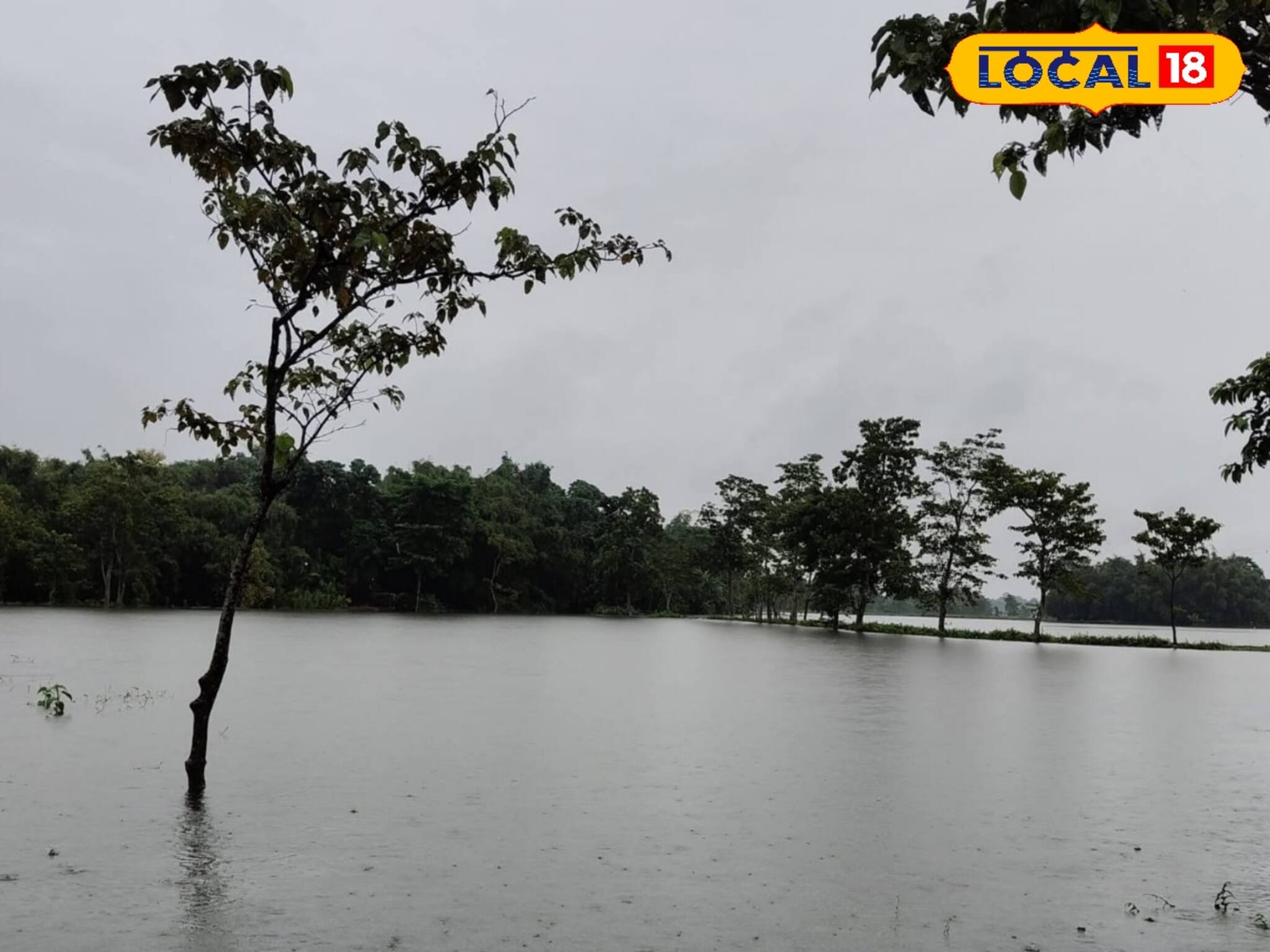 দুর্যোগ কিছুতেই পিছু ছাড়বে না, সপ্তাহভর ঝড়বৃষ্টি চলবে উত্তরবঙ্গের জেলায় জেলায়