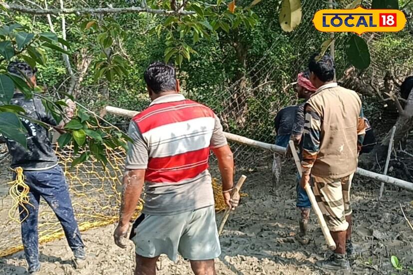 সারাদিনে অন্তত সাতবার ৭-৮ জনের টিমের নেতৃত্বে চলছে তার নজরদারি। তাও আতঙ্ক পিছু ছাড়ছে না। নয়া এই আতঙ্কের পরিচয়, সুন্দরবনের হেঁড়োভাঙা জঙ্গলের এক দক্ষিণ রায়। (ছবি ও তথ্য: সুমন সাহা)