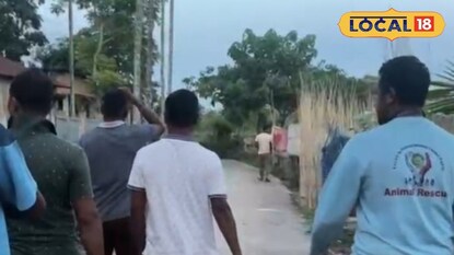 কুকুর হত্যা