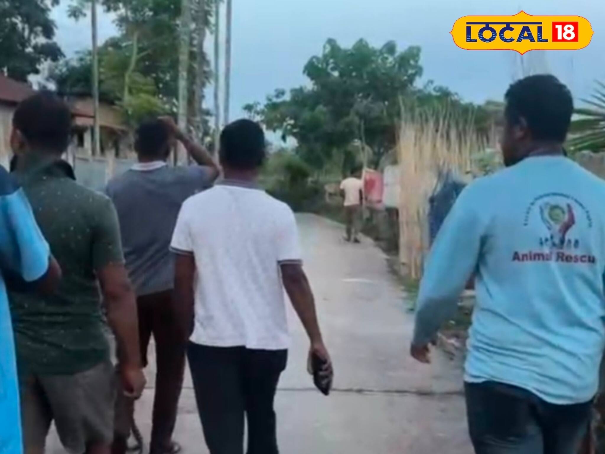 একটা-দুটো নয়, পর পর ১৫টি পথ কুকুর হত্যার অভিযোগ! জলপাইগুড়িতে তুমুল ক্ষোভ