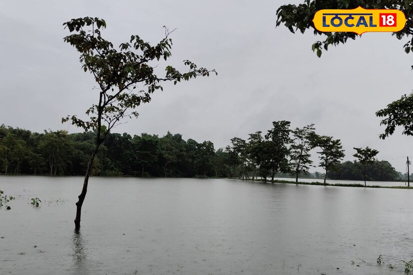 দার্জিলিং, কালিম্পংয়ের পার্বত্য এলাকা এবং সিকিমেও ভারী বৃষ্টির কারণে ধস নামার আশঙ্কা রয়েছে।