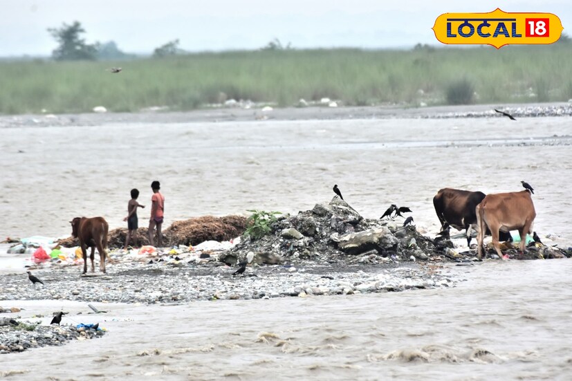 উত্তর-পশ্চিম বঙ্গোপসাগরে তৈরি হয়েছে নিম্নচাপ। মধ্য বঙ্গোপসাগরে রয়েছে ঘূর্ণাবর্তও। সেটি শক্তি বাড়িয়ে সুপষ্ট নিম্নচাপে পরিণত হবে। ফলে দুর্যোগের পূর্বাভাস রয়েছে দক্ষিণবঙ্গে। উত্তরবঙ্গেও রয়েছে বিক্ষিপ্তভাবে বৃষ্টির পূর্বাভাস 