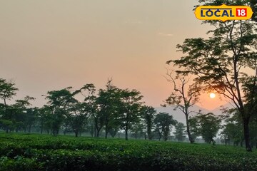 কমবে নাকি ফের বাড়বে বৃষ্টি! উত্তরে বর্ষা নিয়ে বড় আপডেট দিল হাওয়া অফিস কমবে নাকি ফের বাড়বে বৃষ্টি! উত্তরে বর্ষা নিয়ে বড় আপডেট দিল হাওয়া অফিস