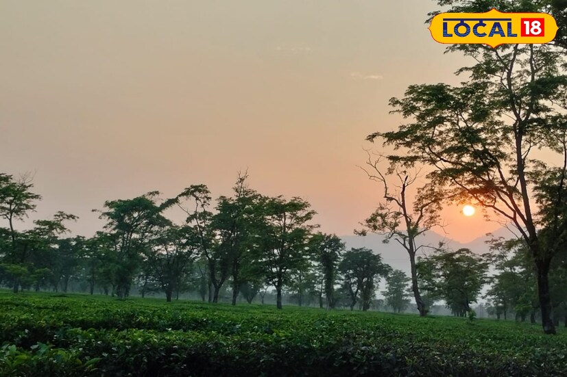 শনিবার উত্তরবঙ্গের জেলাগুলিতে বৃষ্টির পরিমাণ অনেকটাই কমবে। পাহাড় তরাই ডুয়ার্সের দু-এক জায়গায় বজ্রবিদ্যুৎ-সহ বিক্ষিপ্তভাবে বৃষ্টি হতে পারে।  শনিবার উত্তরবঙ্গের জেলাগুলিতে বৃষ্টির পরিমাণ অনেকটাই কমবে। পাহাড় তরাই ডুয়ার্সের দু-এক জায়গায় বজ্রবিদ্যুৎ-সহ বিক্ষিপ্তভাবে বৃষ্টি হতে পারে।