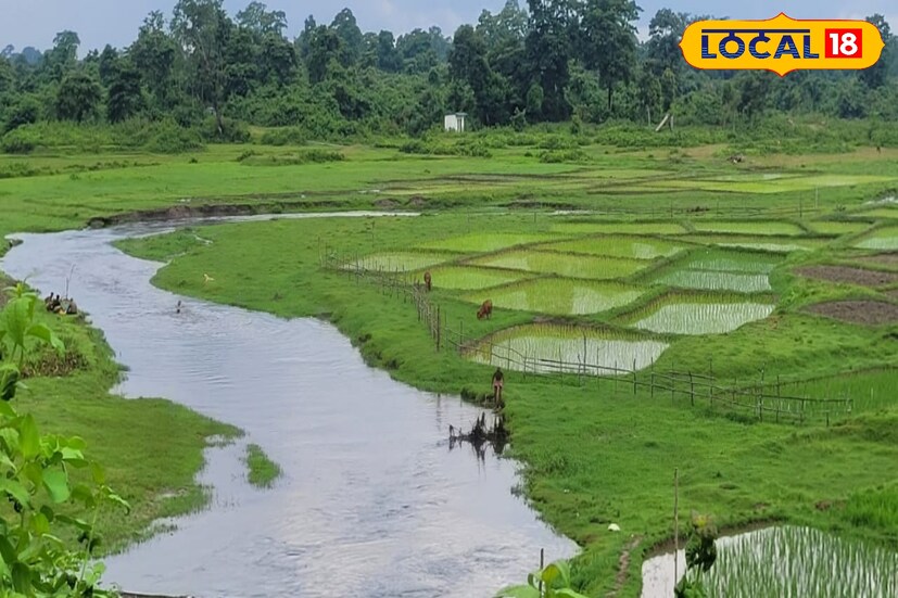 এছাড়া শুক্র ও শনিবার পর্যন্ত জলপাইগুড়ি এবং আলিপুরদুয়ারে ভারী বর্ষণ জারি থাকবে। কোথাও কোথাও ঘণ্টায় ৩০ থেকে ৪০ কিলোমিটার বেগে ঝোড়ো হাওয়াও বইতে পারে।